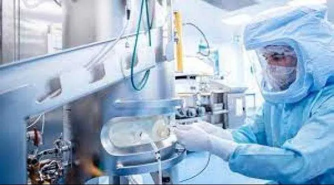 Almanya mucizesi nedir?