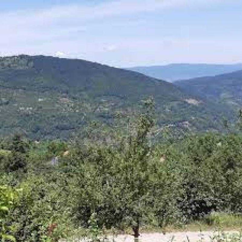 Aksu Mahallesi